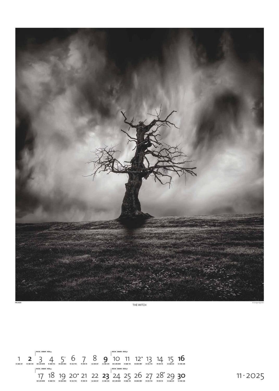 Bild: 4251734300676 | Black &amp; White 2025 - Bildkalender 50x70 cm - Wandkalender XL -...