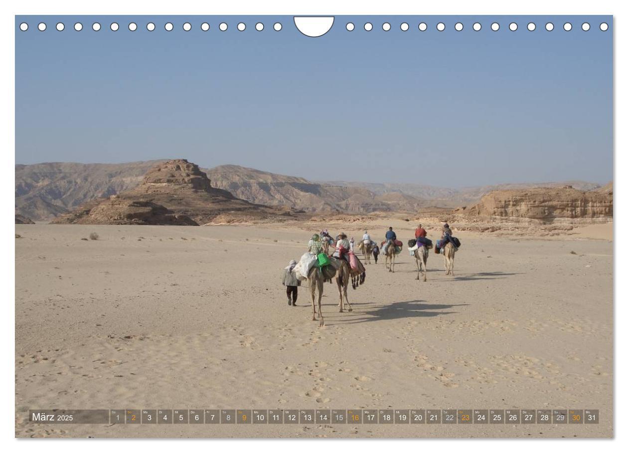 Bild: 9783435525904 | Impressionen Kameltrekking Sinai 2025 (Wandkalender 2025 DIN A4...