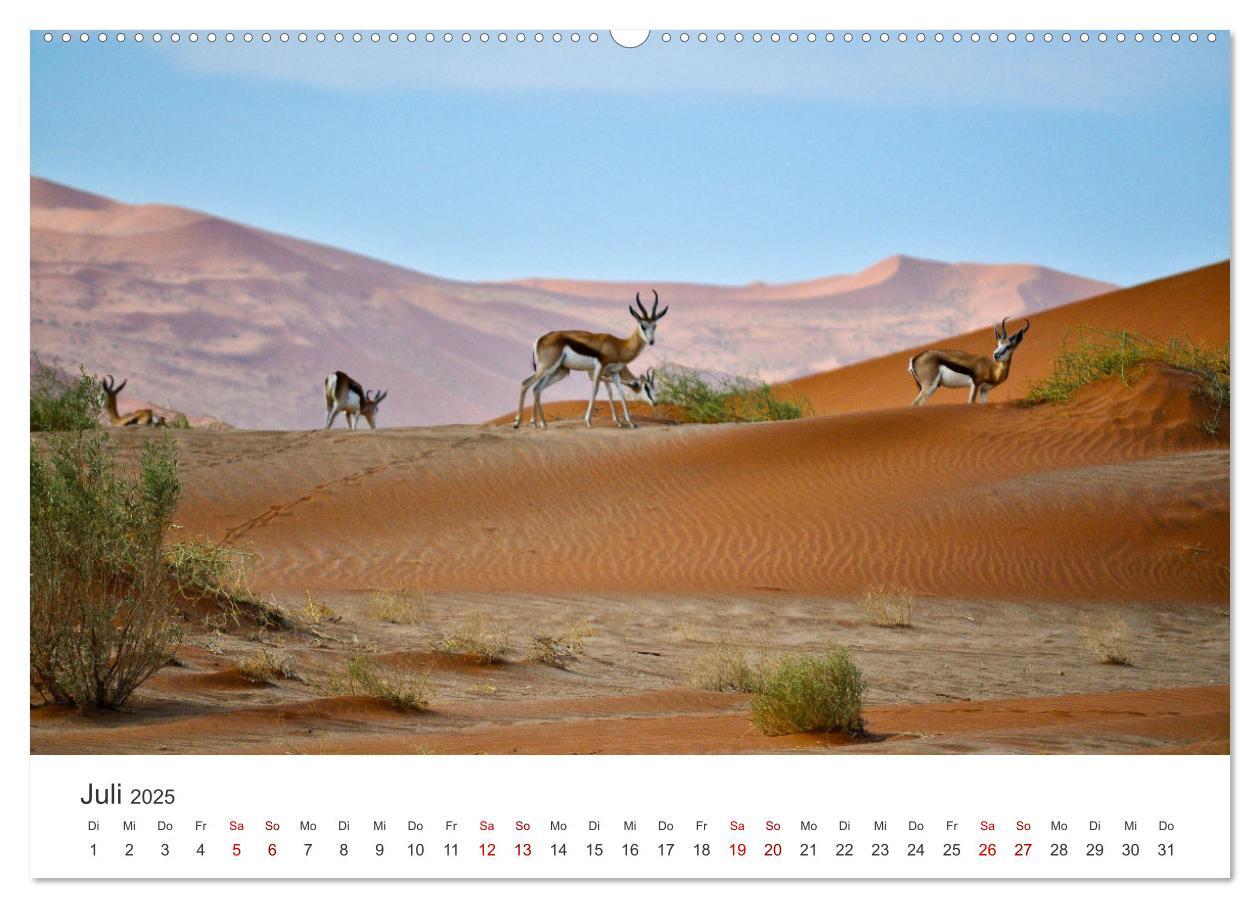 Bild: 9783383984877 | Namibia - Das wunderschöne Land am Atlantik. (Wandkalender 2025 DIN...