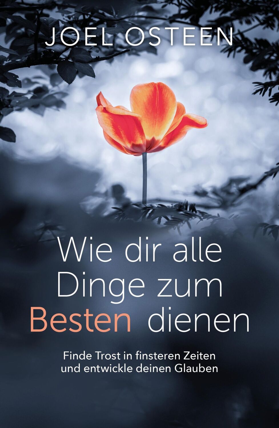 Cover: 9783959331548 | Wie dir alle Dinge zum Besten dienen | Joel Osteen | Taschenbuch