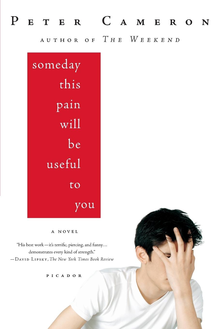 Cover: 9780312428167 | Someday This Pain Will Be Useful to You | Peter Cameron | Taschenbuch