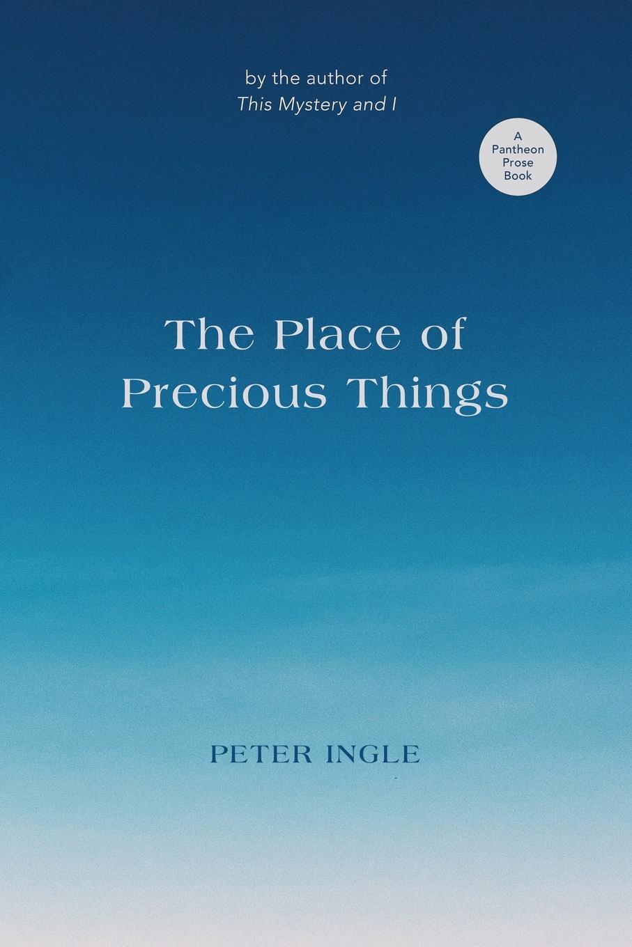 Cover: 9781736742532 | The Place of Precious Things | Peter Ingle | Taschenbuch | Paperback