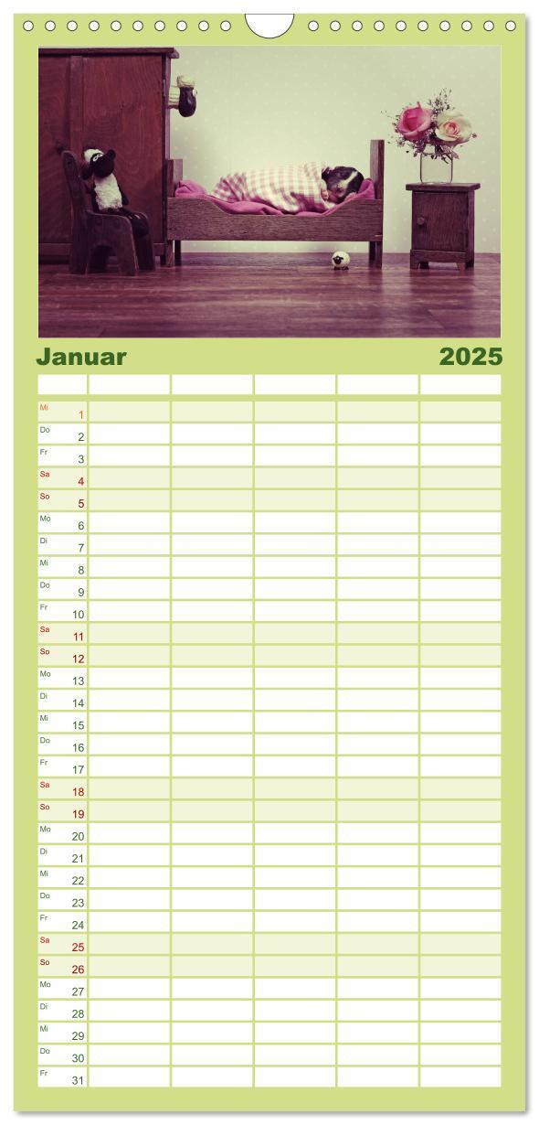 Bild: 9783457110522 | Familienplaner 2025 - Der Bordercollie-Kalender mit 5 Spalten...