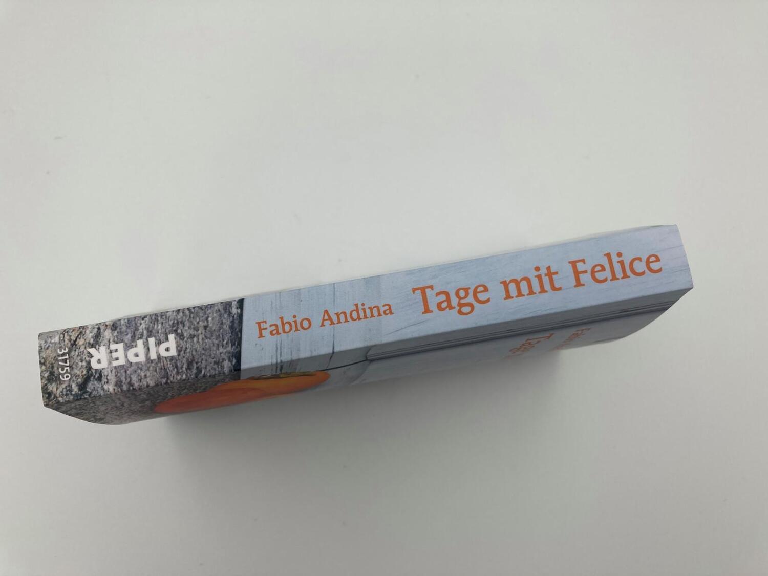 Bild: 9783492317597 | Tage mit Felice | Fabio Andina | Taschenbuch | 240 S. | Deutsch | 2022