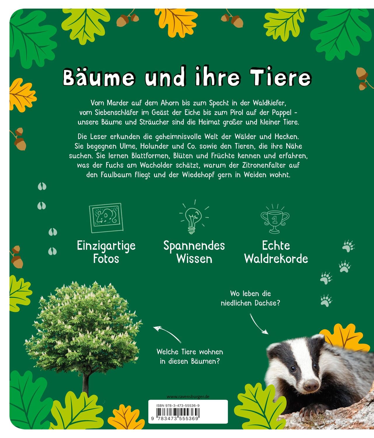 Rückseite: 9783473555369 | Bäume und ihre Tiere - das spannende Leben in unseren Wäldern,...