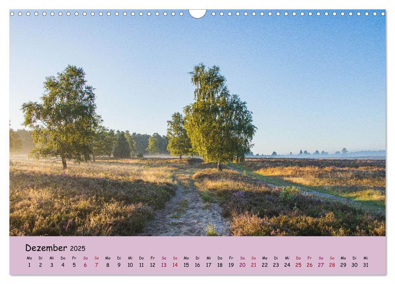 Bild: 9783435030224 | Lüneburger Heide Wege (Wandkalender 2025 DIN A3 quer), CALVENDO...