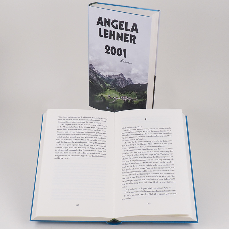 Bild: 9783446271067 | 2001 | Roman | Angela Lehner | Buch | 384 S. | Deutsch | 2021