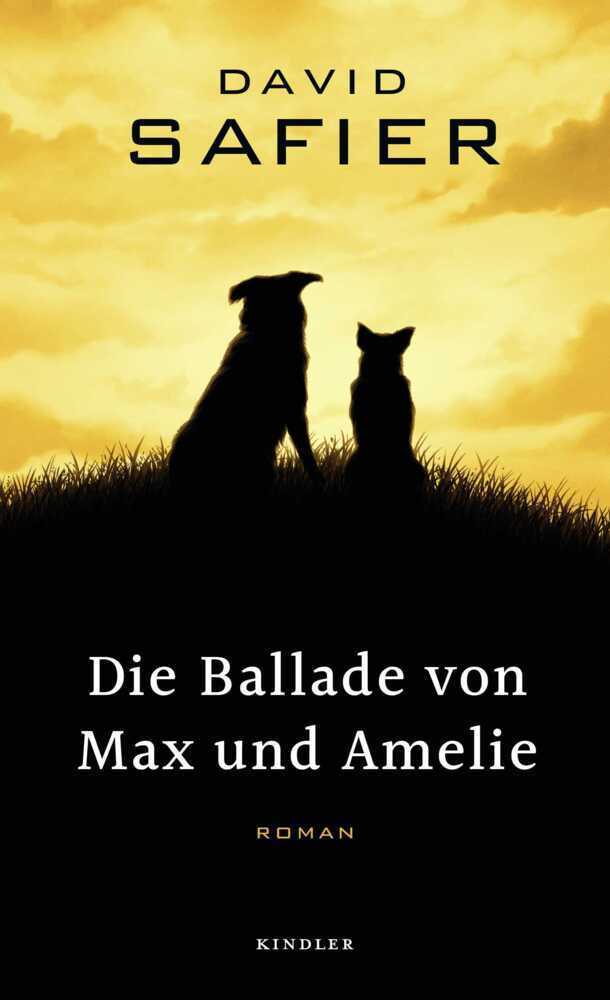 Cover: 9783463407098 | Die Ballade von Max und Amelie | Roman | David Safier | Buch | 368 S.