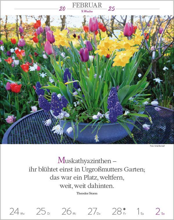 Bild: 9783731879497 | Literaturkalender Gartenlust 2025 | Verlag Korsch | Kalender | 54 S.