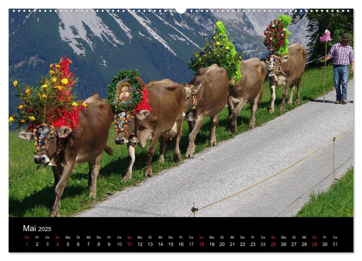 Bild: 9783435536597 | Almabtrieb in Tirol (Wandkalender 2025 DIN A2 quer), CALVENDO...