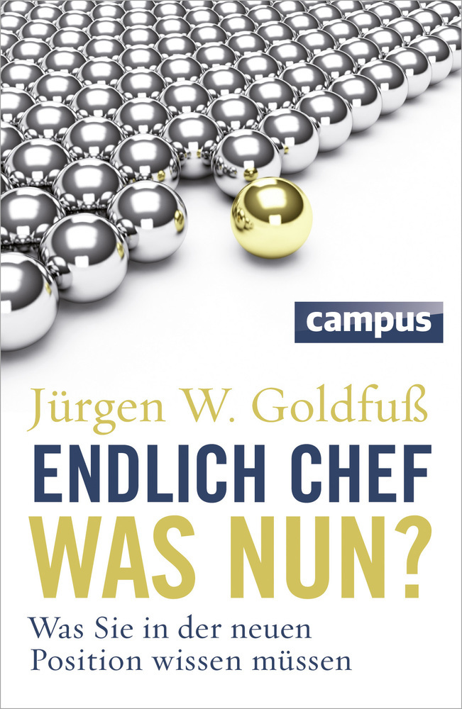 Cover: 9783593396293 | Endlich Chef - was nun? | Was Sie in der neuen Position wissen müssen