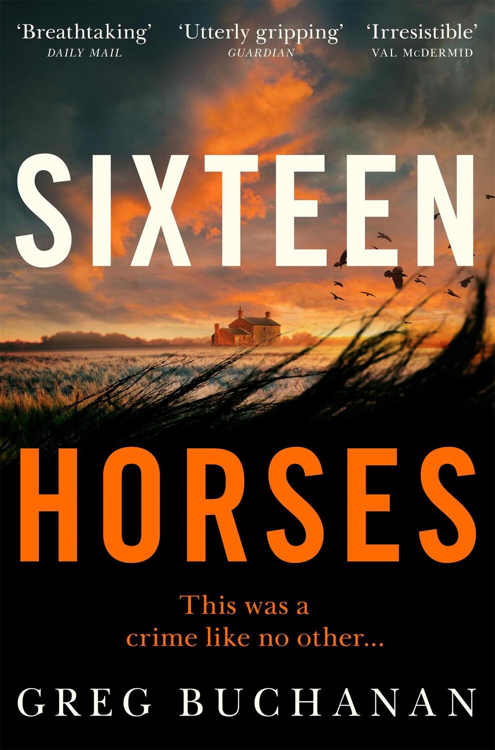 Cover: 9781529027181 | Sixteen Horses | Greg Buchanan | Taschenbuch | 464 S. | Englisch