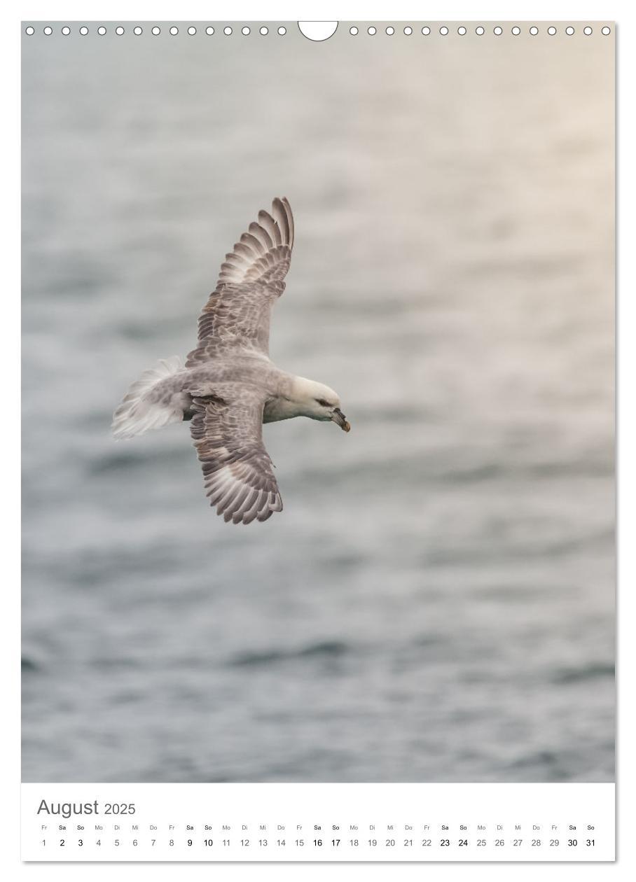 Bild: 9783435846146 | Die Arktis - Naturfotografien aus Spitzbergen (Wandkalender 2025...