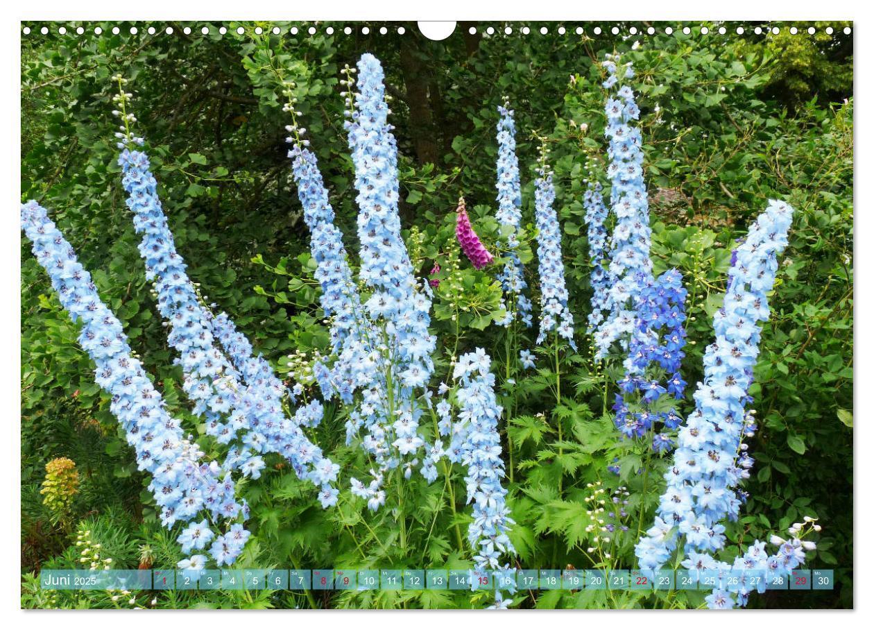 Bild: 9783435172696 | Beschwingte Blumenwelt (Wandkalender 2025 DIN A3 quer), CALVENDO...