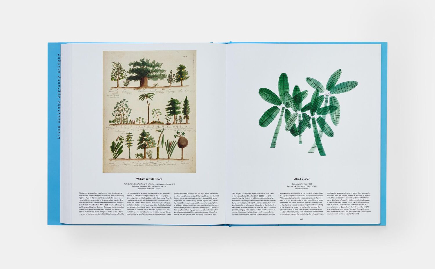 Bild: 9781838667795 | Tree | Exploring the Arboreal World | Phaidon Editors (u. a.) | Buch