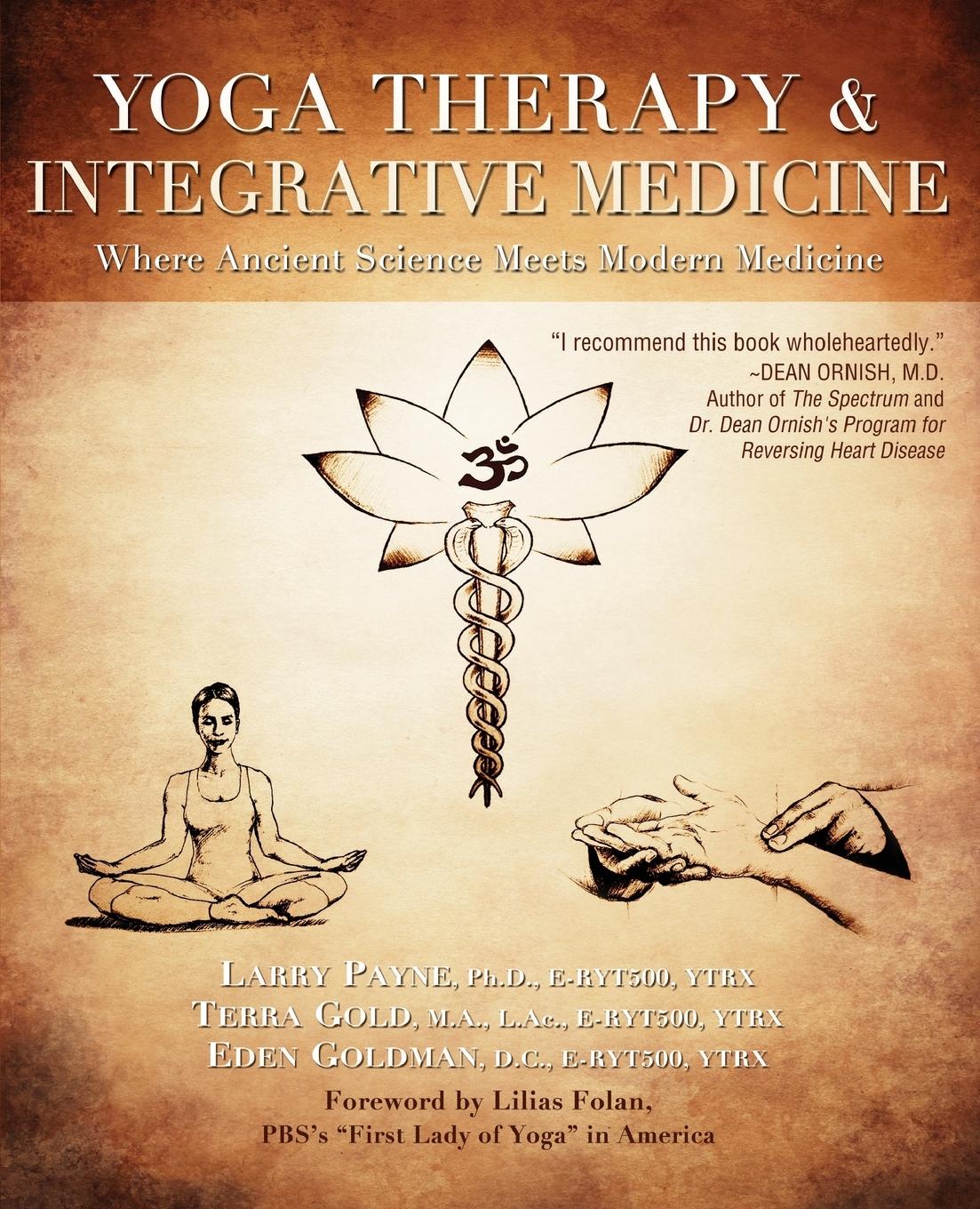 Cover: 9781591203667 | Yoga Therapy &amp; Integrative Medicine | E-RYT YTRX Larry Payne (u. a.)