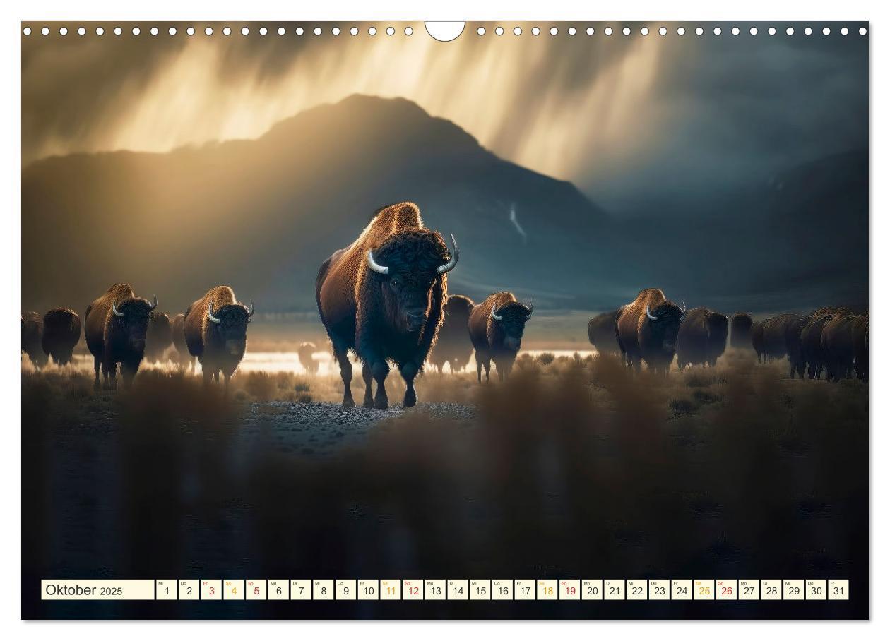 Bild: 9783383911859 | Amerikanischer Bison (Wandkalender 2025 DIN A3 quer), CALVENDO...