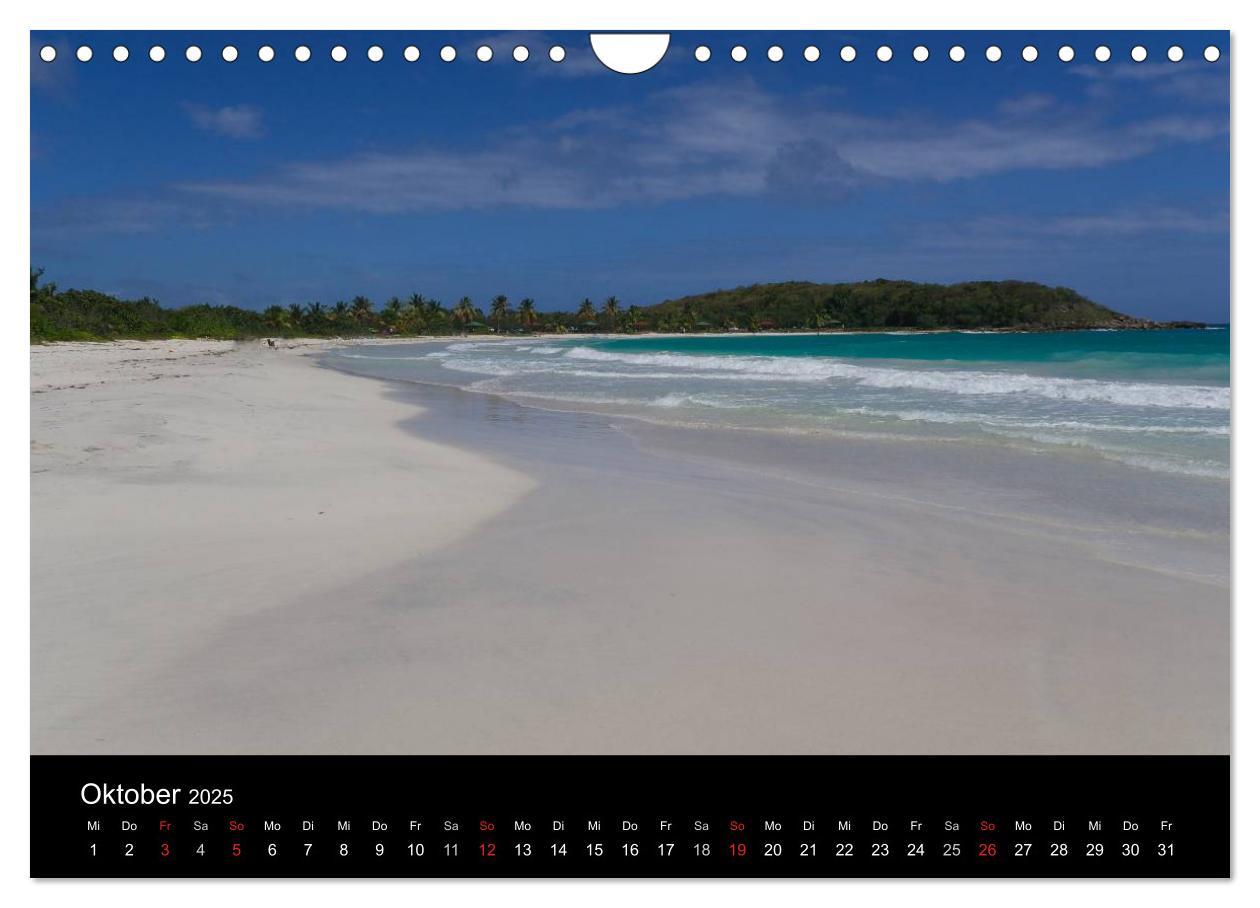 Bild: 9783435461820 | Trauminsel Puerto Rico (Wandkalender 2025 DIN A4 quer), CALVENDO...