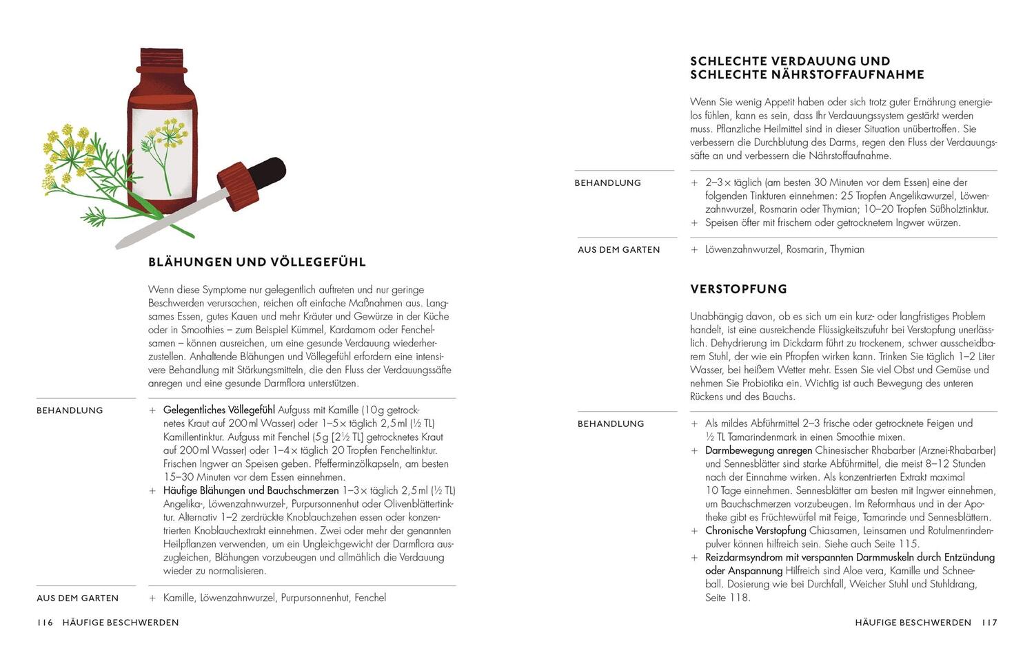 Bild: 9783831048564 | Die pflanzliche Hausapotheke | Andrew Chevallier | Buch | 256 S.