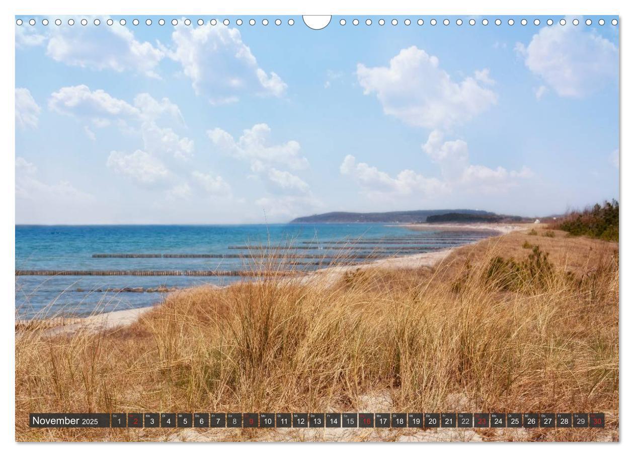 Bild: 9783435755417 | Insel Hiddensee (Wandkalender 2025 DIN A3 quer), CALVENDO...