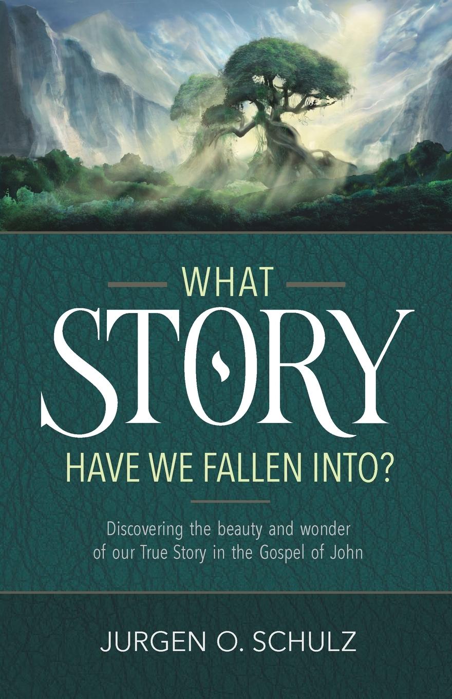 Cover: 9781777849603 | What Story Have We Fallen Into? | Jurgen Schulz | Taschenbuch | 2021