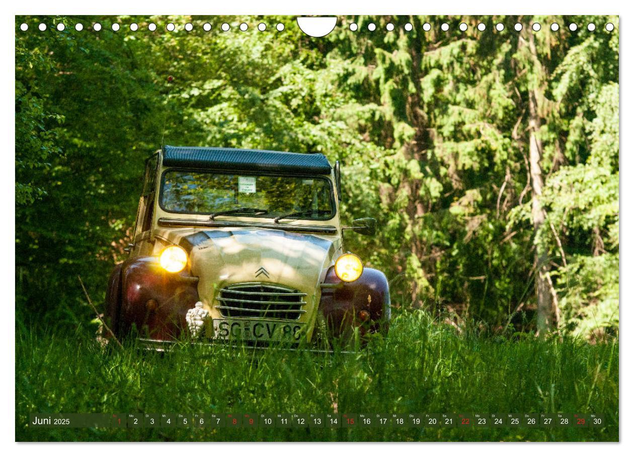 Bild: 9783435273881 | Die Ente ist sicher - Fahrspaß mit 2 CV Dolly (Wandkalender 2025...