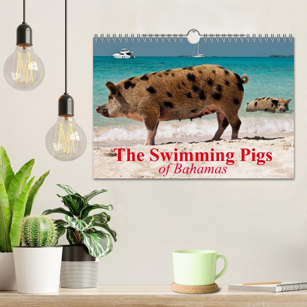 Bild: 9781325994007 | The Swimming Pigs of Bahamas (Wall Calendar 2025 DIN A4 landscape),...