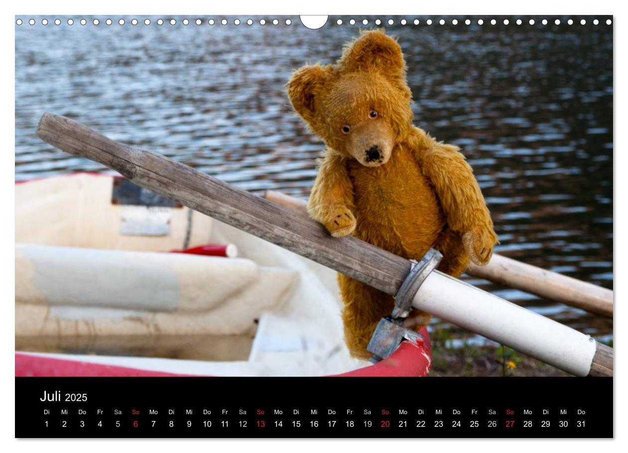 Bild: 9783435674084 | Teddy Basse, Fortsetzung... (Wandkalender 2025 DIN A3 quer),...