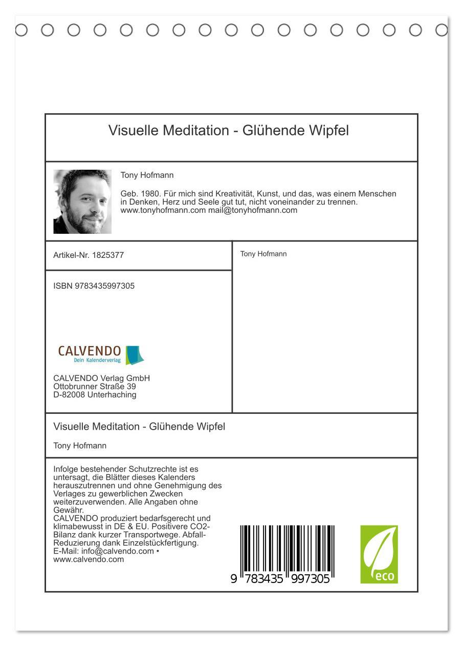 Bild: 9783435997305 | Visuelle Meditation - Glühende Wipfel (Tischkalender 2025 DIN A5...