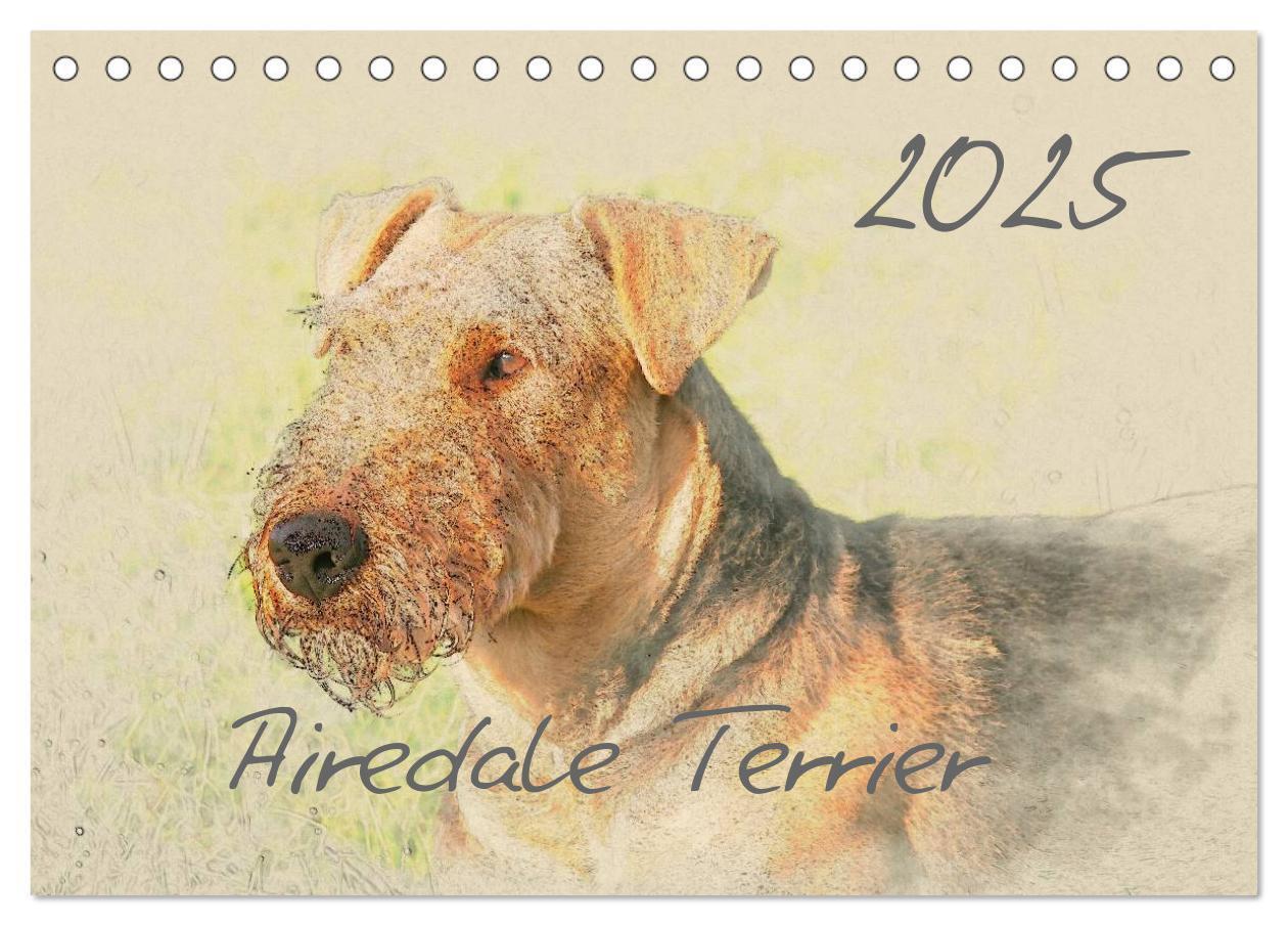 Cover: 9783435626366 | Airedale Terrier 2025 (Tischkalender 2025 DIN A5 quer), CALVENDO...