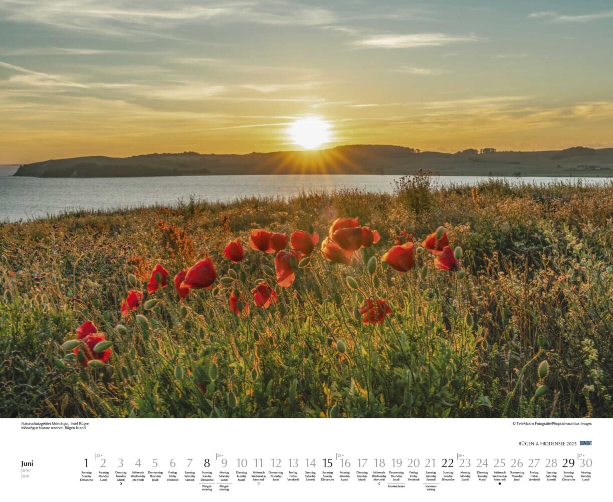 Bild: 4250809652726 | DUMONT - Rügen &amp; Hiddensee 2025 Wandkalender, 52x42,5cm,...