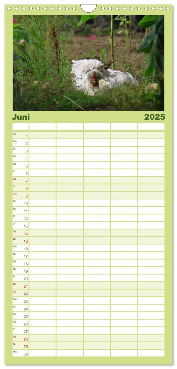 Bild: 9783457122150 | Familienplaner 2025 - Welt der Tiere mit 5 Spalten (Wandkalender,...