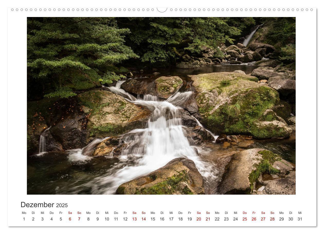 Bild: 9783435344338 | Yakushima - Japans Weltnaturerbe (Wandkalender 2025 DIN A2 quer),...