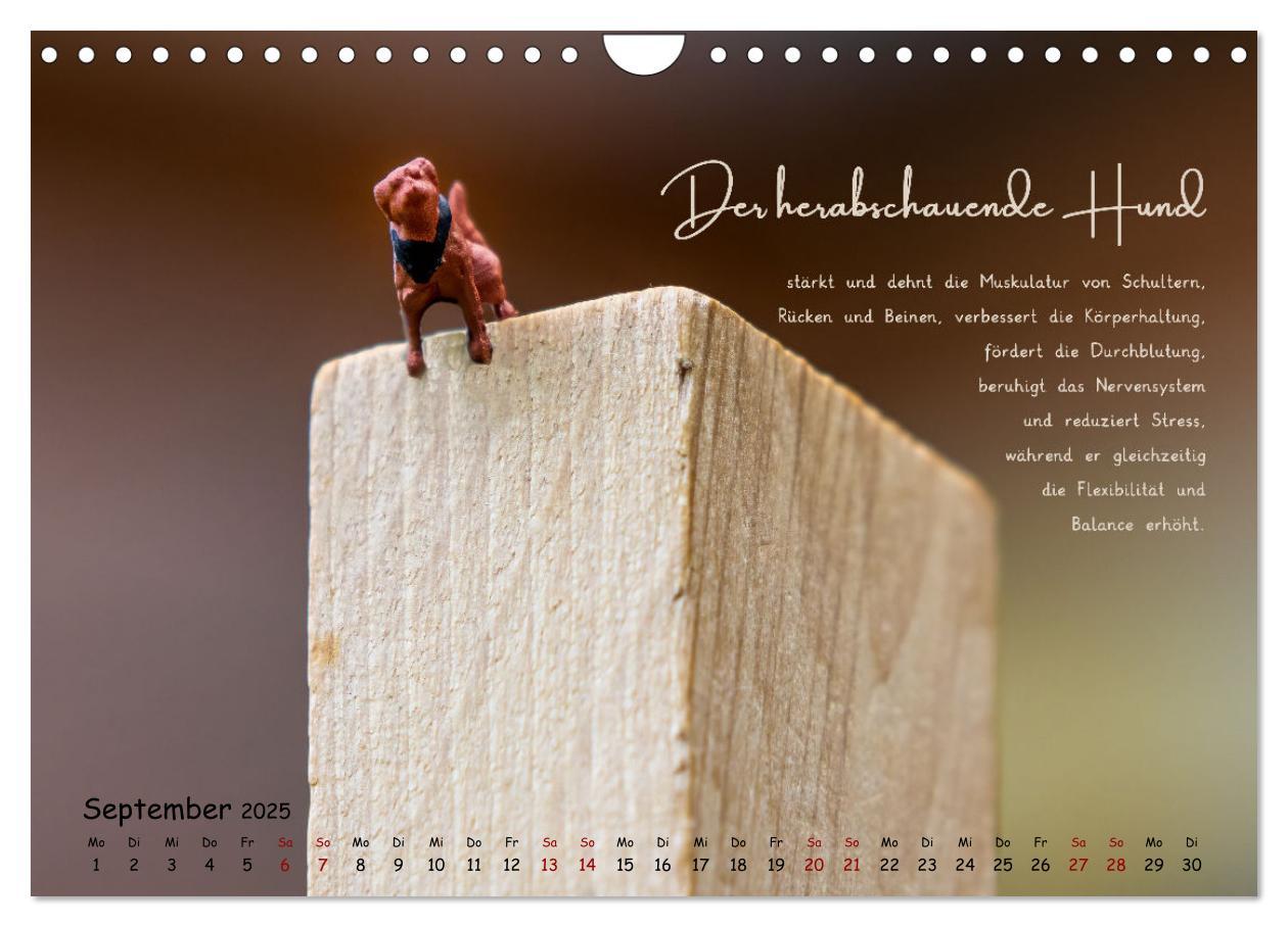 Bild: 9783457173022 | Yoga - Kleine Figur, große Wirkung (Wandkalender 2025 DIN A4 quer),...