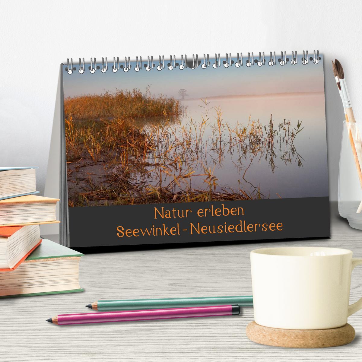 Bild: 9783435491322 | Natur erleben Seewinkel-Neusiedlersee (Tischkalender 2025 DIN A5...