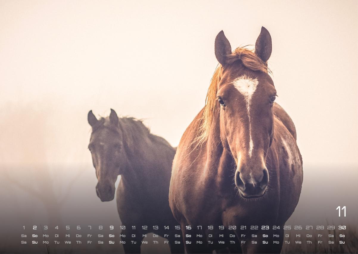 Bild: 9783986734053 | Pferdegeflüster - Der Pferdekalender - 2025 - Kalender DIN A3 | 15 S.