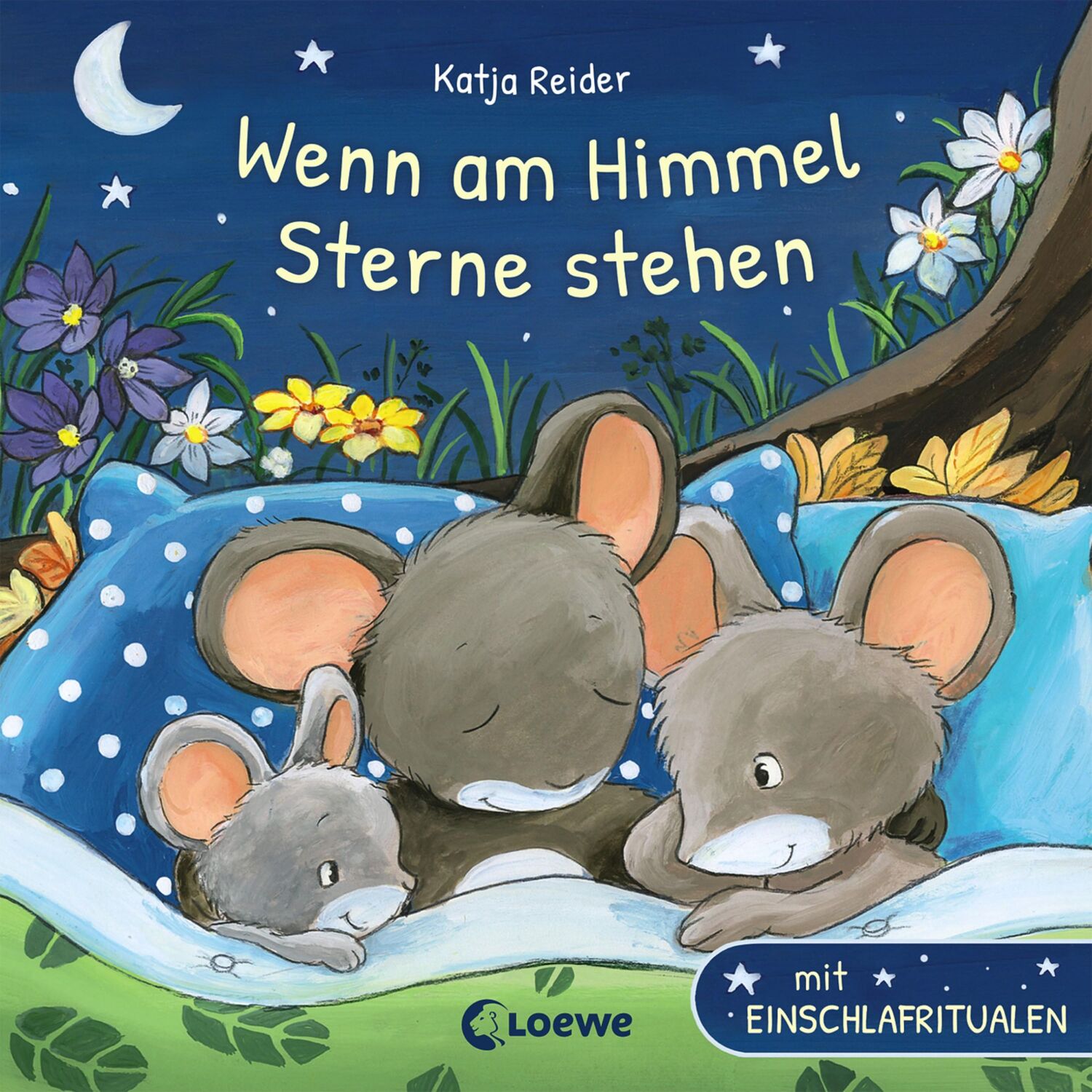 Cover: 9783743200883 | Wenn am Himmel Sterne stehen | mit Einschlafritualen | Katja Reider