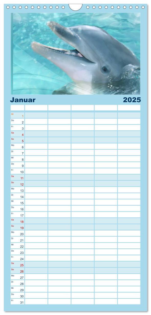 Bild: 9783457124574 | Familienplaner 2025 - Delfine - Kalender mit 5 Spalten...