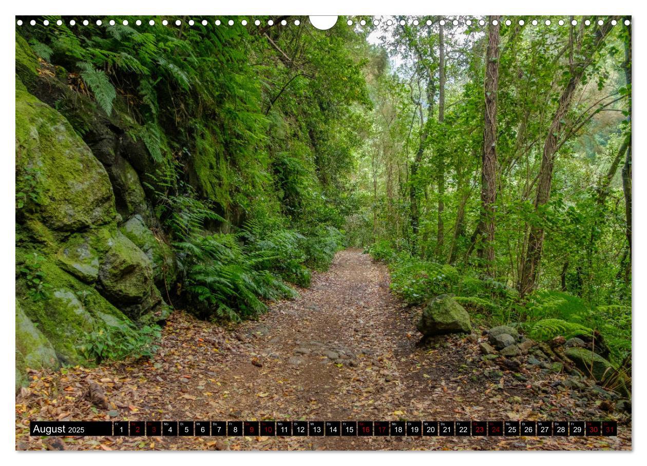 Bild: 9783435328017 | Natur pur erleben auf La Palma (Wandkalender 2025 DIN A3 quer),...