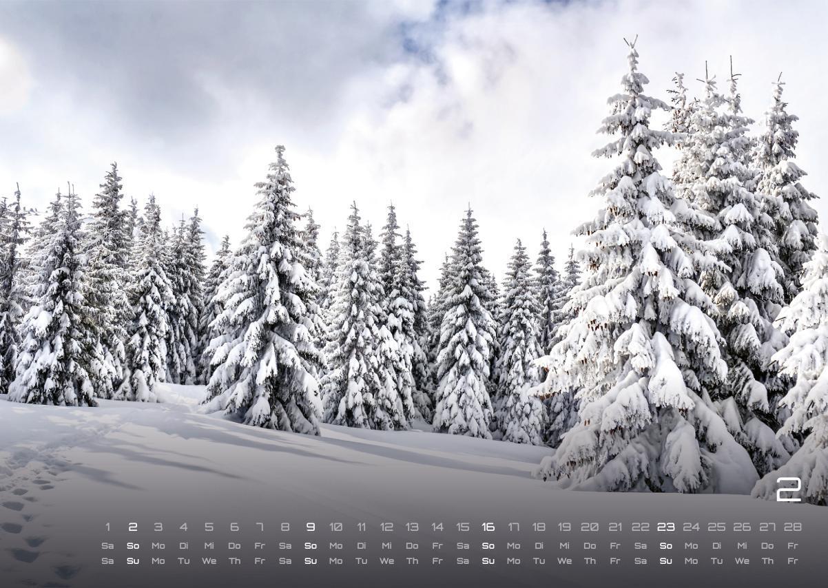 Bild: 9783986734480 | Wald - Erholung für Mensch und Tier - 2025 - Kalender DIN A3 | 15 S.