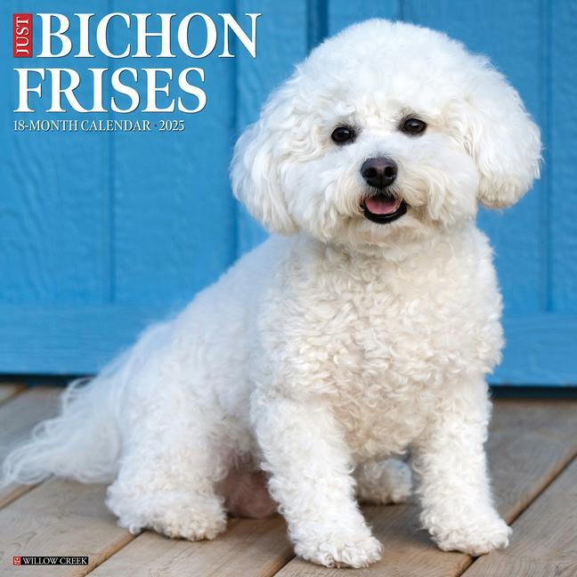 Cover: 9781549241741 | Just Bichons Frises 2025 12 X 12 Wall Calendar | Willow Creek Press