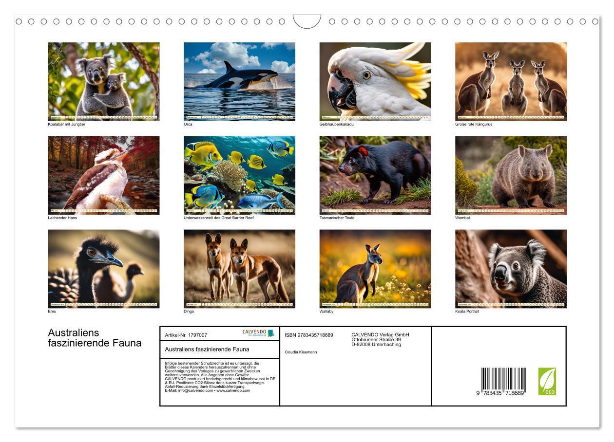 Bild: 9783435718689 | Australiens faszinierende Fauna (Wandkalender 2025 DIN A3 quer),...