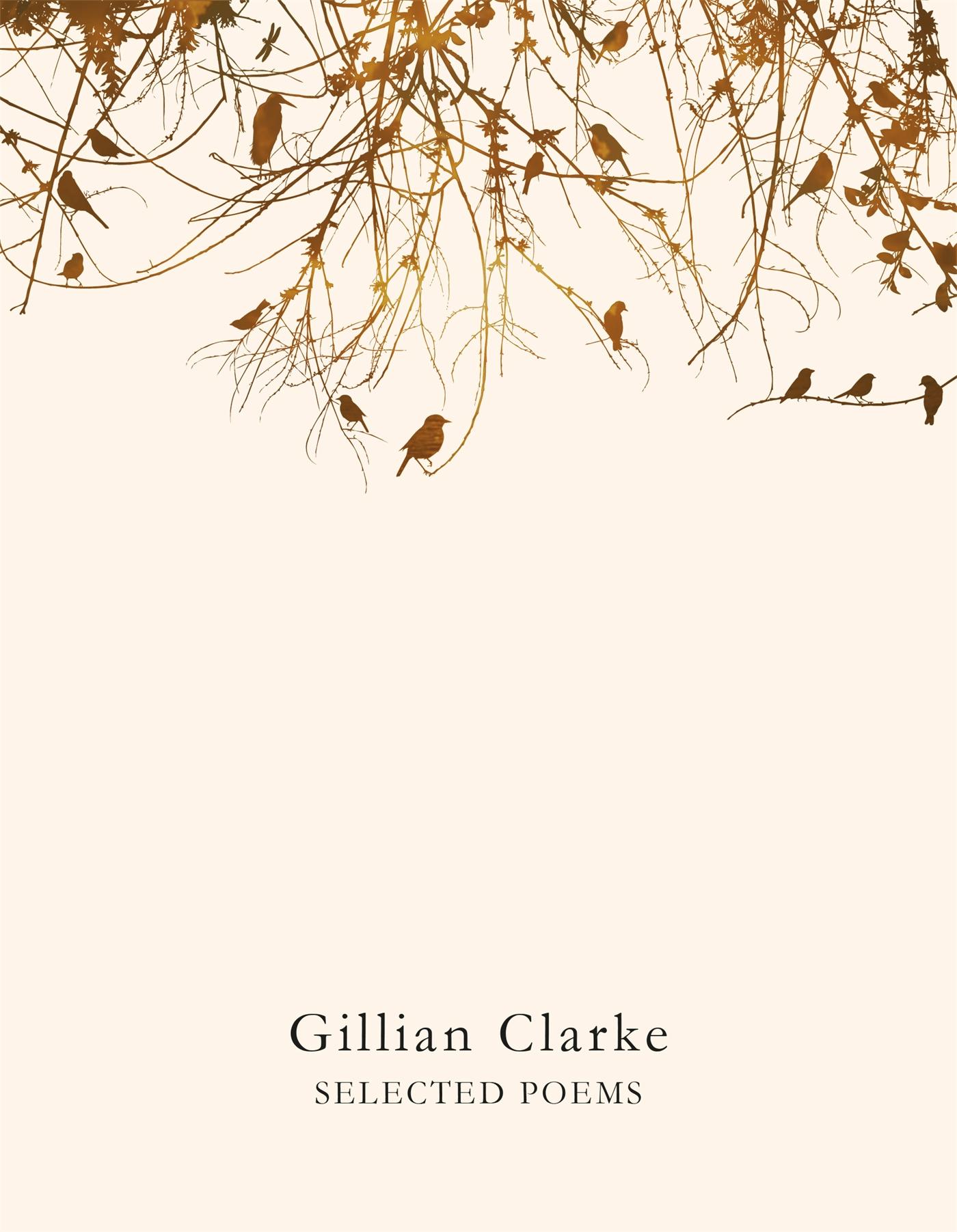 Cover: 9781509821921 | Selected Poems | Gillian Clarke | Taschenbuch | Englisch | 2016