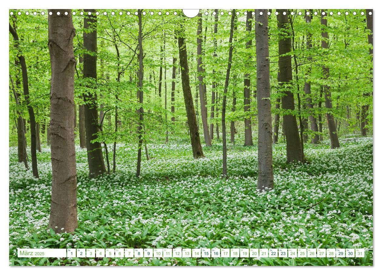 Bild: 9783435139255 | Eifel Sehnsucht (Wandkalender 2025 DIN A3 quer), CALVENDO...