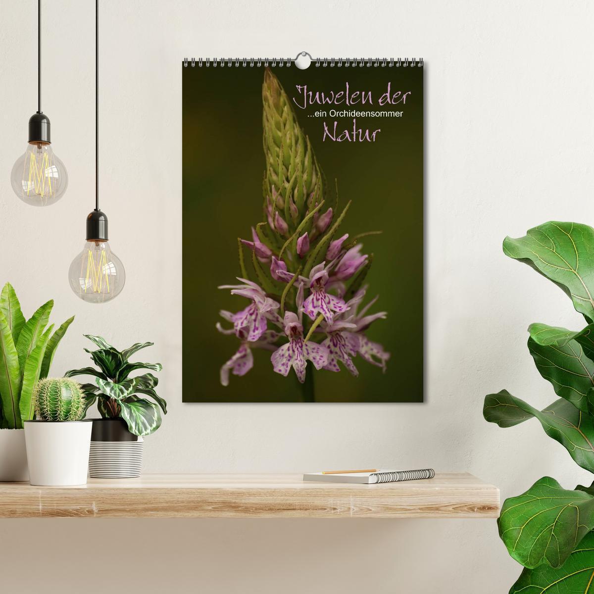 Bild: 9783457006801 | Juwelen der Natur - Ein Orchideensommer (Wandkalender 2025 DIN A3...