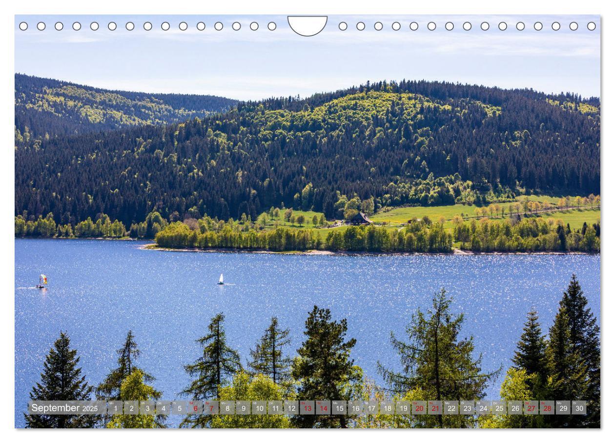 Bild: 9783435077090 | Ein Jahr im Schwarzwald (Wandkalender 2025 DIN A4 quer), CALVENDO...