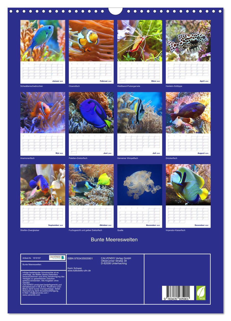 Bild: 9783435935901 | Bunte Meereswelten (Wandkalender 2025 DIN A3 hoch), CALVENDO...