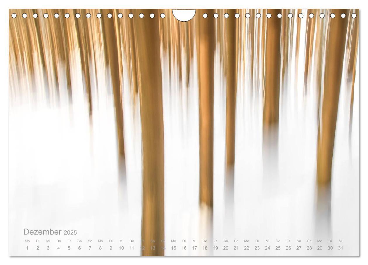 Bild: 9783435466689 | Astrein! - Der Baumkalender 2025 (Wandkalender 2025 DIN A4 quer),...