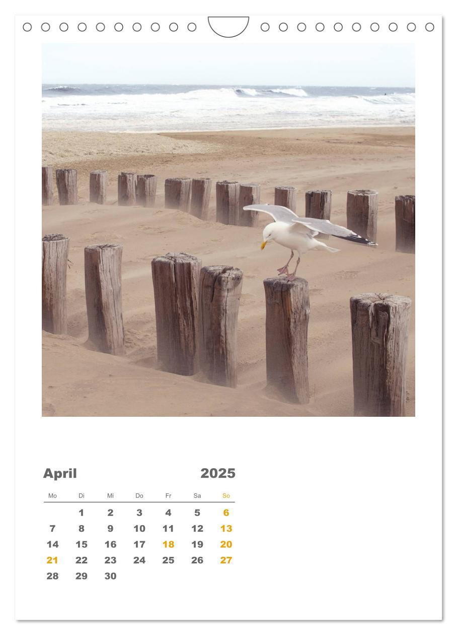 Bild: 9783457051214 | Hollands Strandparadies Zeeland (Wandkalender 2025 DIN A4 hoch),...