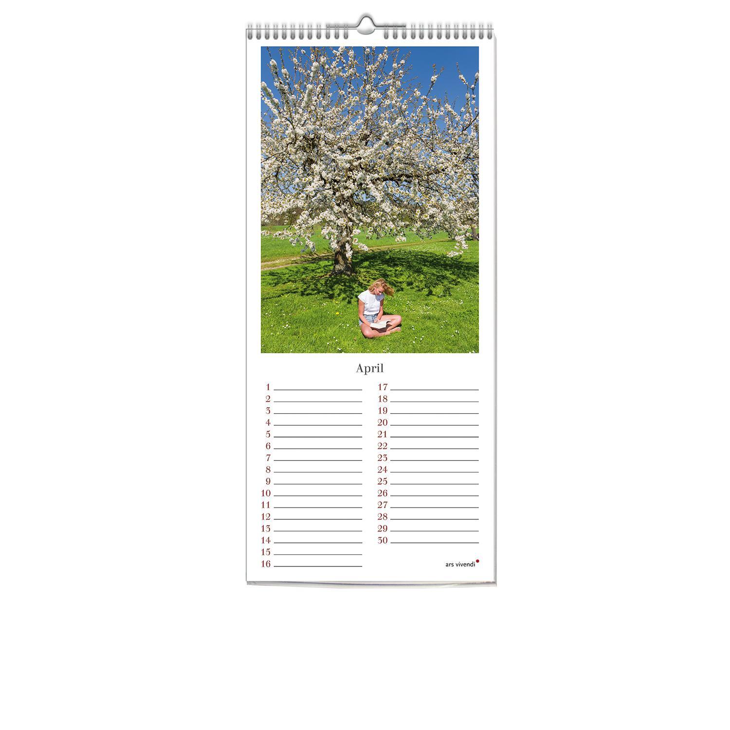 Bild: 9783869139487 | Geburstagskalender Lesen, immerwährend (neu) | Kalender | 12 S.